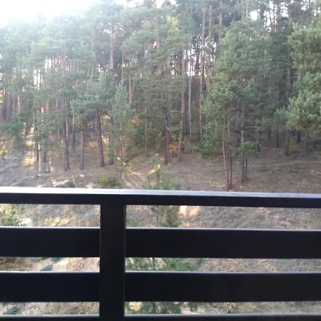 Forest * Velingrado