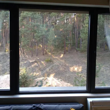 Forest * Velingrado