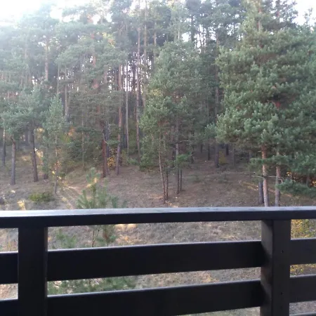 Forest Apartamento *